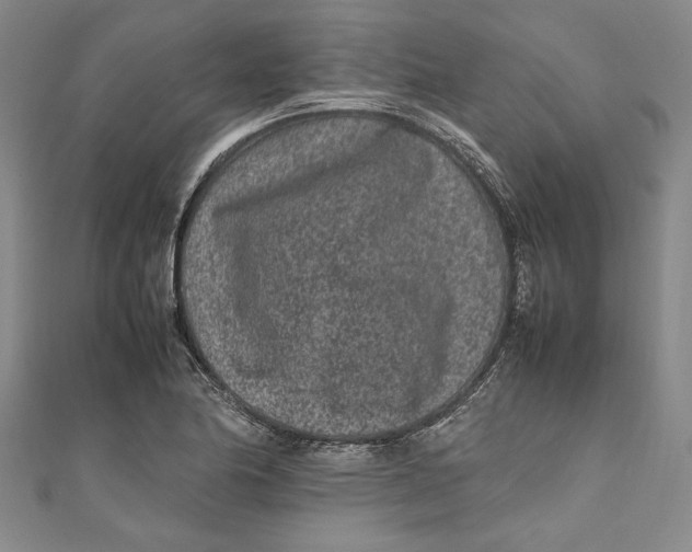 X0000111191174200907221103