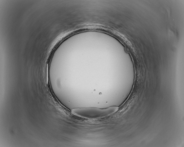 X0000111191175200907221103