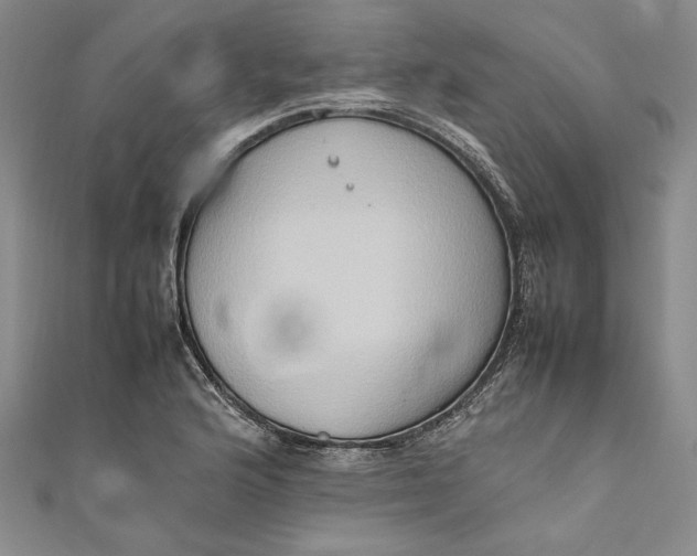 X0000111191176200907221103