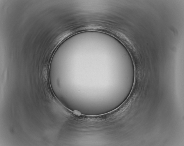 X0000111191177200907221103