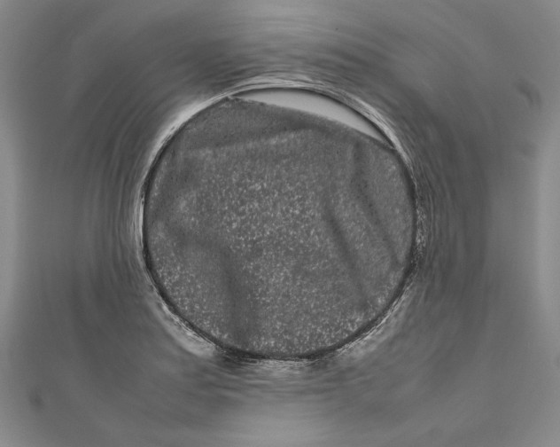 X0000111191179200907221103