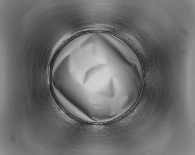 X0000111191180200907221103