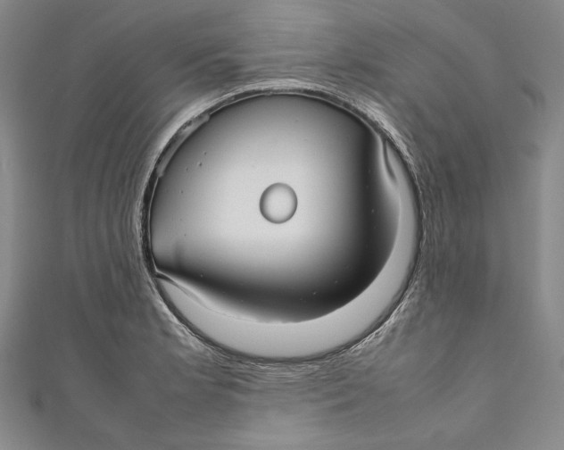 X0000111191181200907221103