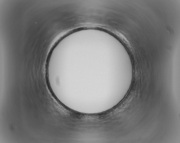 X0000111191183200907221103