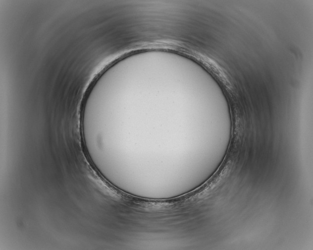 X0000111191184200907221103