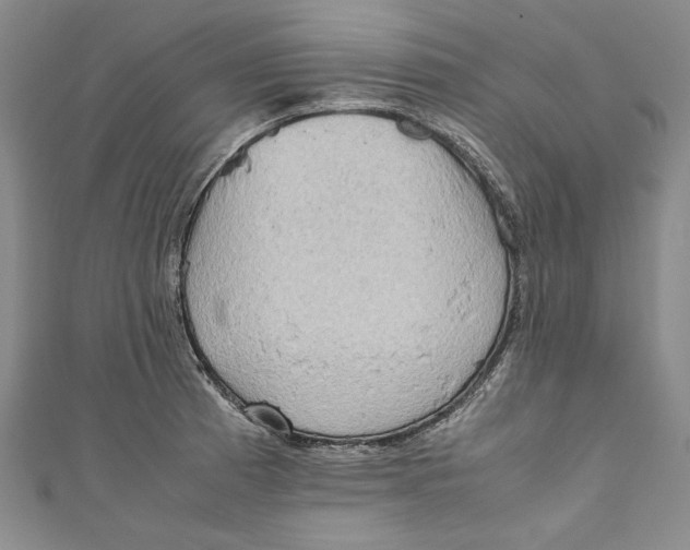 X0000111191185200907221103