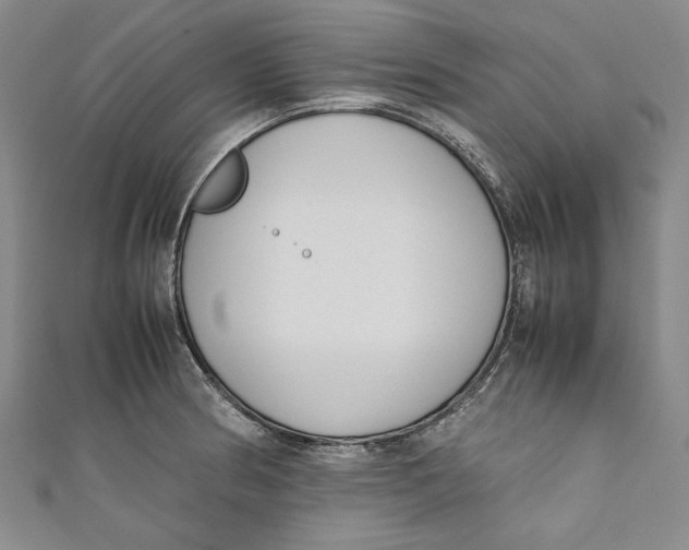 X0000111191186200907221103