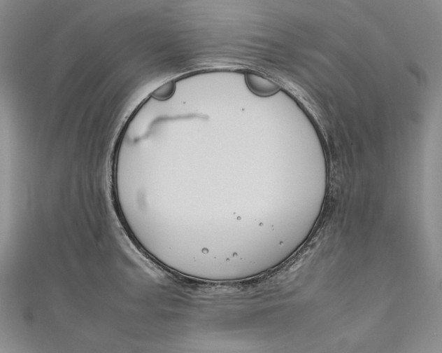 X0000111191187200907221103