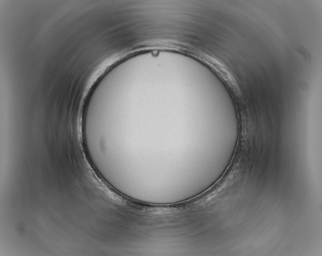 X0000111191188200907221103