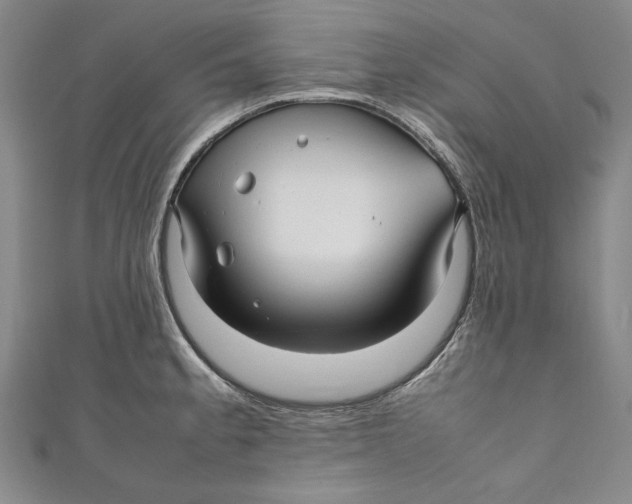 X0000111191189200907221103