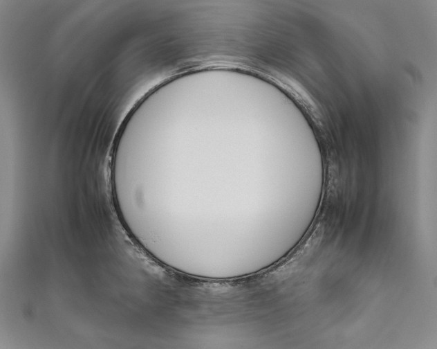 X0000111191190200907221103