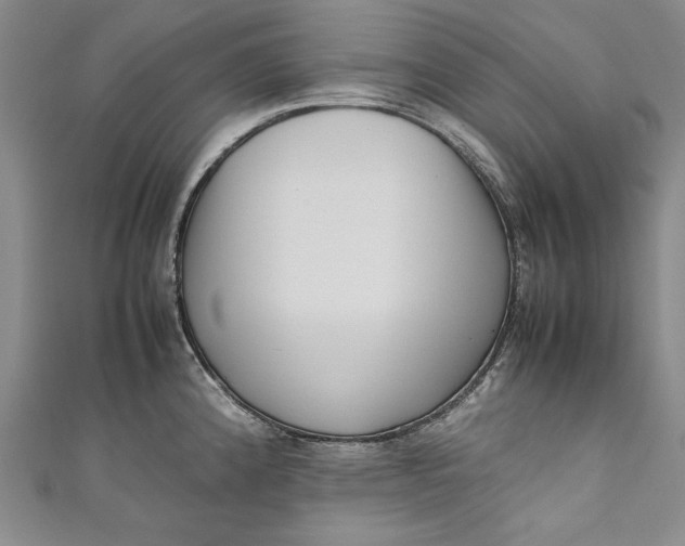 X0000111191192200907221103