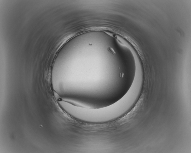 X0000111191193200907221103