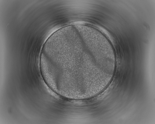 X0000111191194200907221103