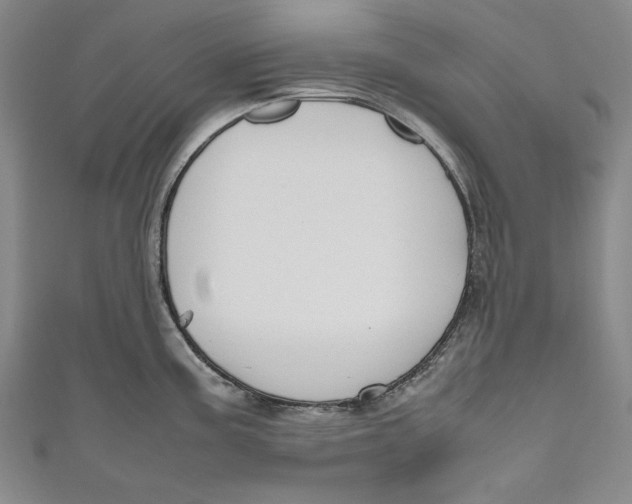 X0000111191195200907221103