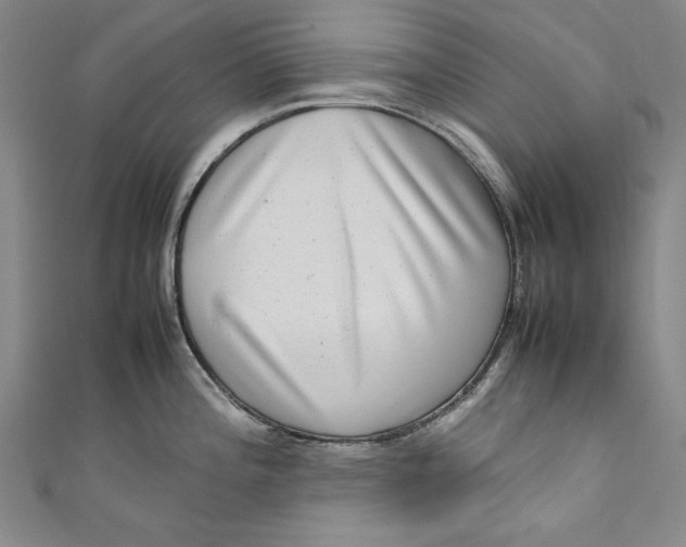 X0000111191196200907221103