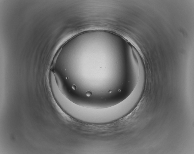 X0000111191197200907221103