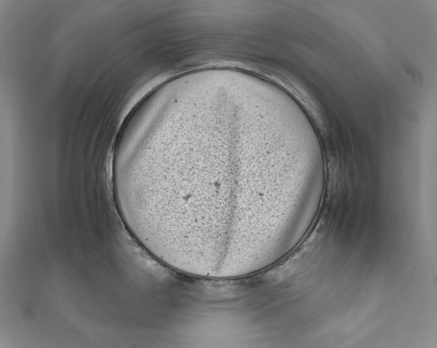 X0000111191198200907221103