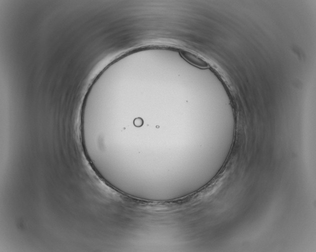 X0000111191199200907221103