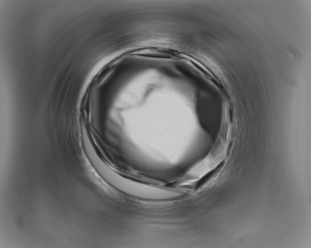 X0000111191200200907221103