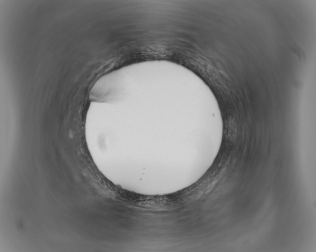 X0000111191201200907221102