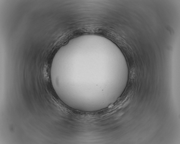 X0000111191202200907221102