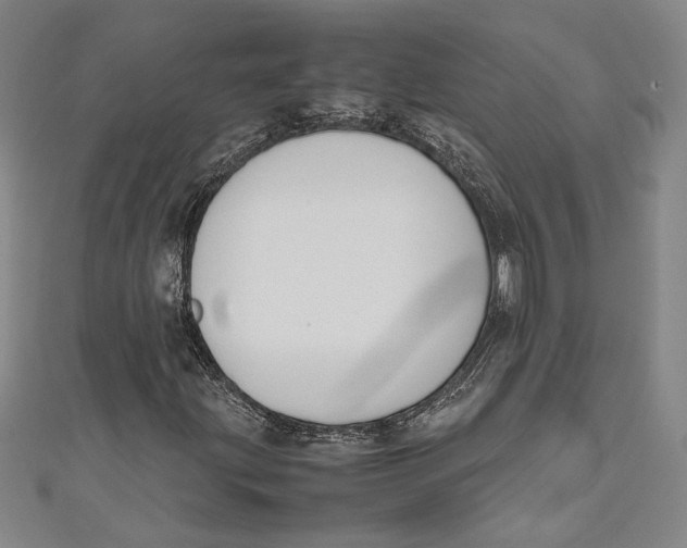 X0000111191203200907221102