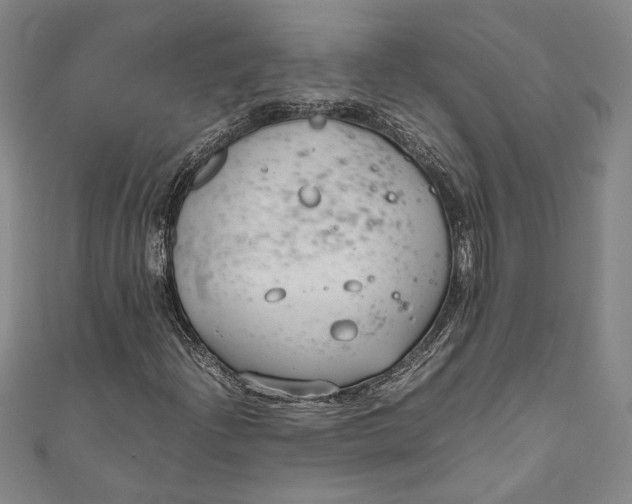 X0000111191204200907221102