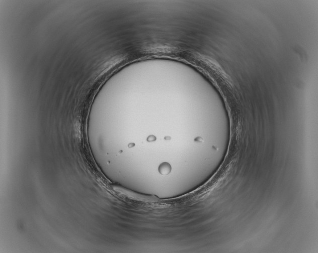 X0000111191209200907221102