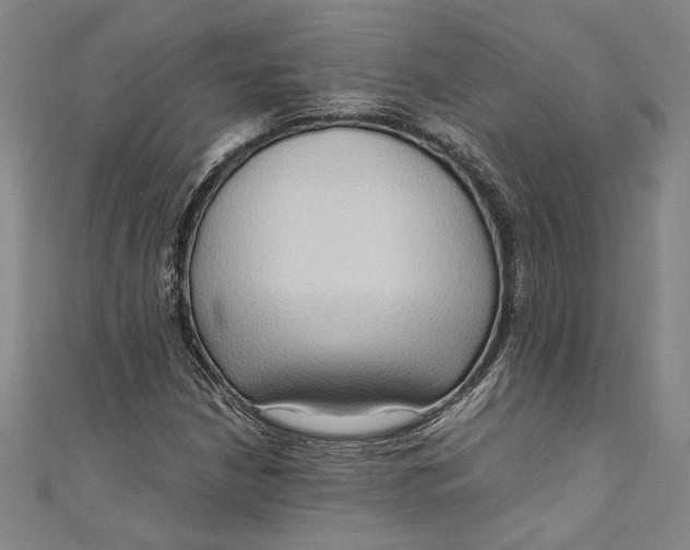 X0000111191210200907221102