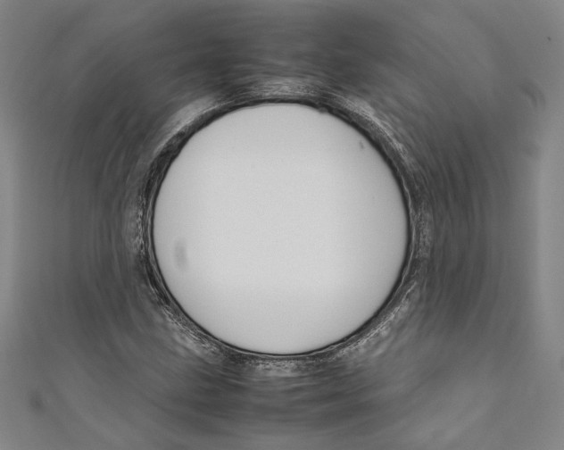 X0000111191211200907221102