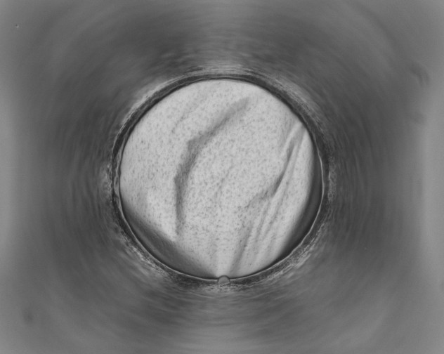 X0000111191212200907221102