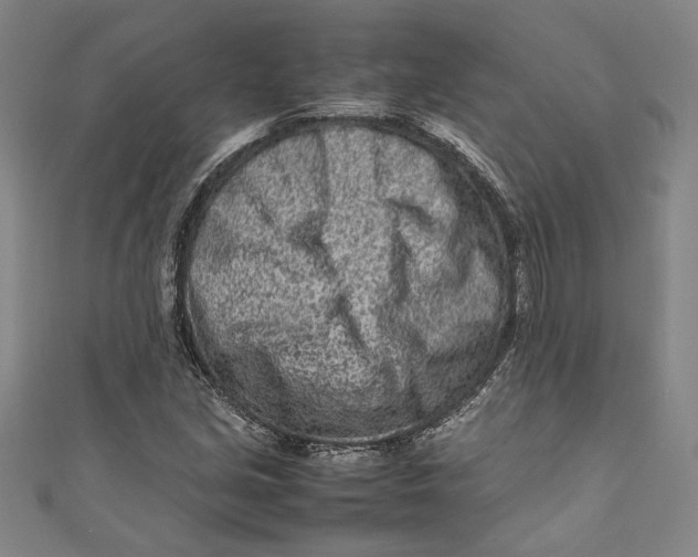 X0000111191213200907221102