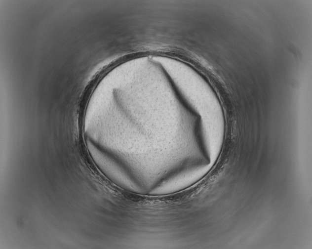 X0000111191214200907221102