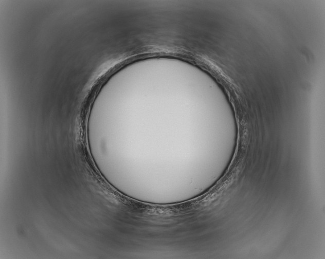 X0000111191215200907221102