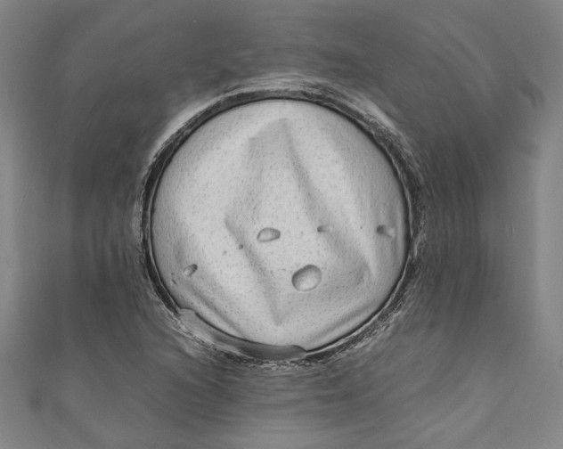 X0000111191216200907221102