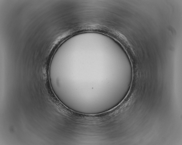 X0000111191218200907221102