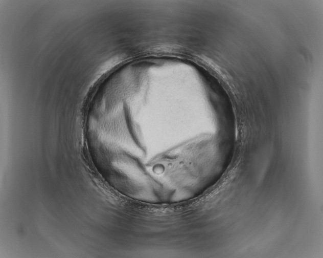 X0000111191219200907221102