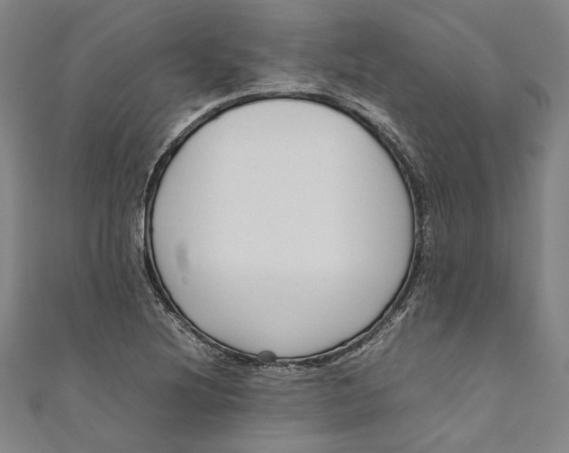 X0000111191220200907221102