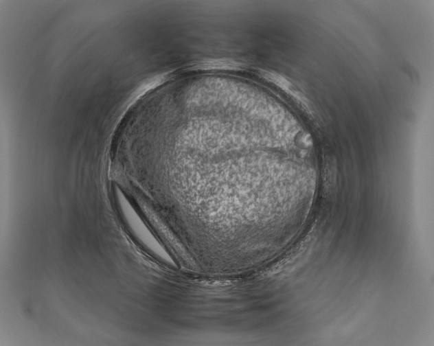 X0000111191221200907221102