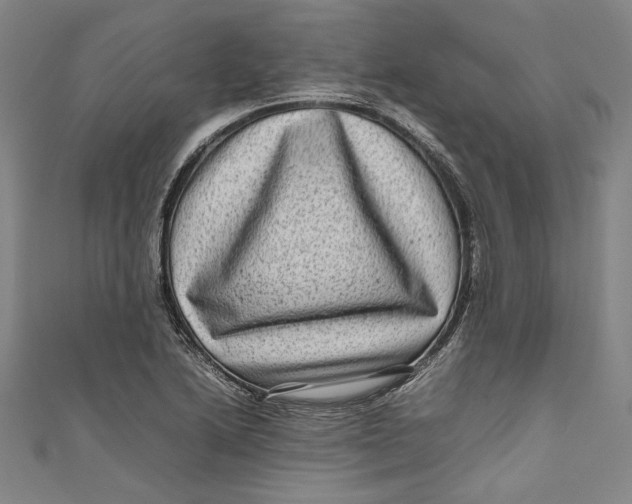 X0000111191222200907221102