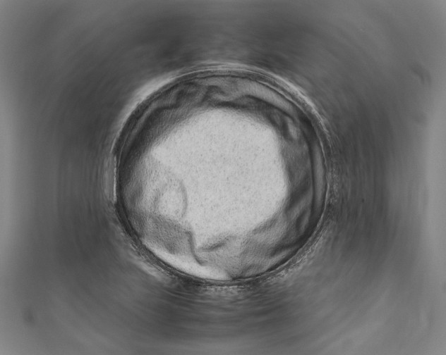 X0000111191223200907221102