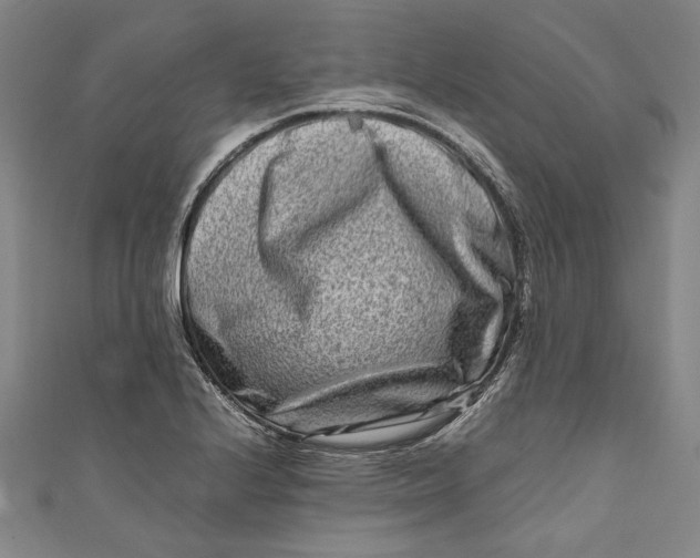 X0000111191224200907221102