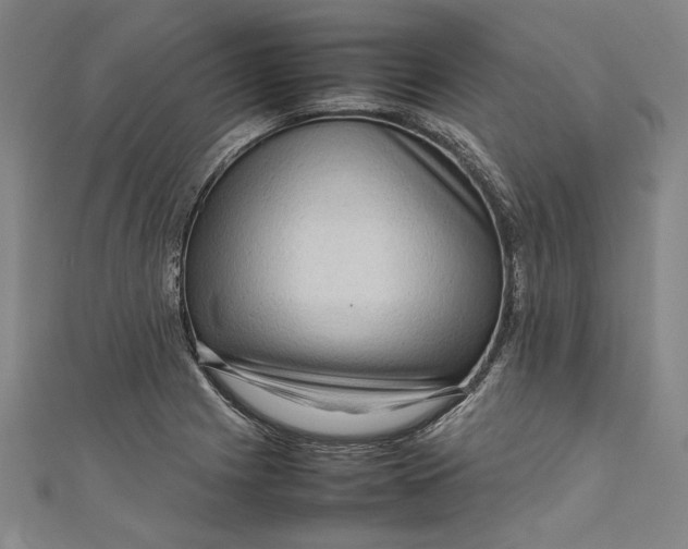 X0000111191225200907221102