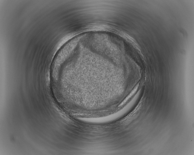 X0000111191226200907221102