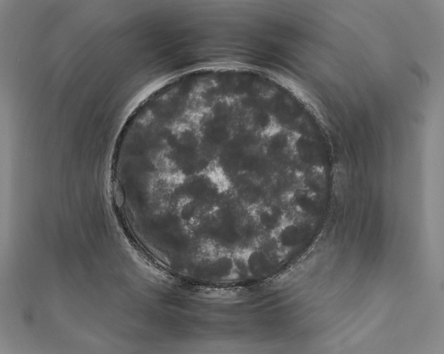 X0000111191229200907221102