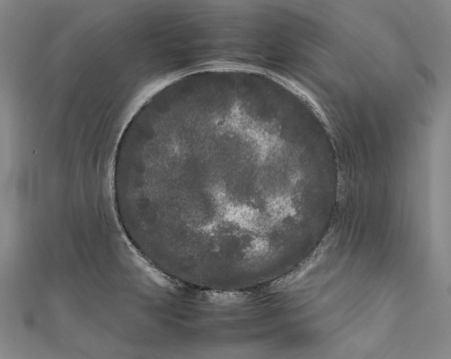 X0000111191231200907221102