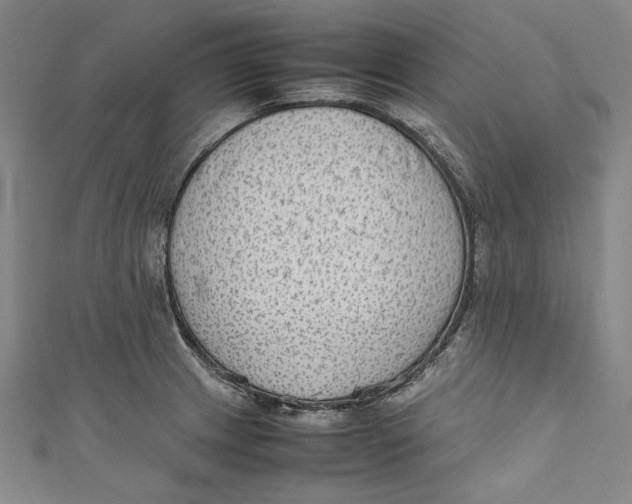 X0000111191233200907221102