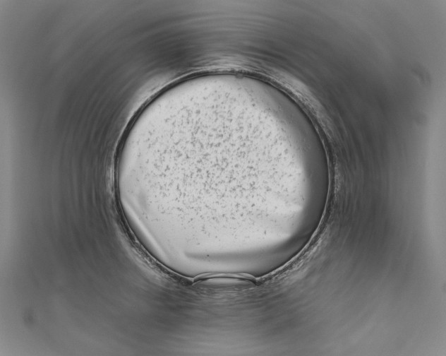 X0000111191234200907221102