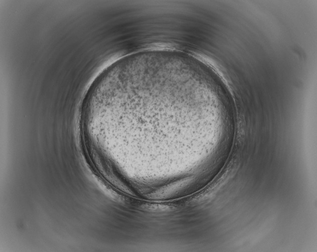 X0000111191235200907221102